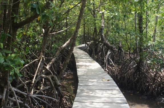 Koh Kong