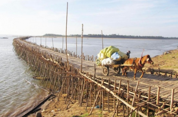 Bamboo Bridge 